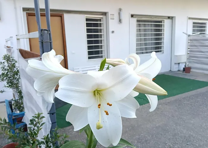 Deliziosa House - Schiavonea